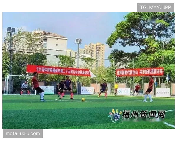 足球场尺寸规则详解及对比赛裁判判罚的影响分析